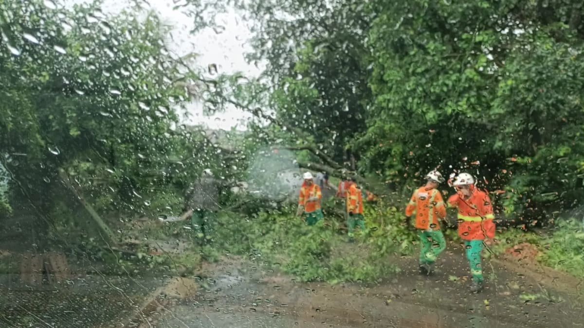 Novo contrato da Comurg vincula custos a tabelas nacionais e terá medições de produtividade