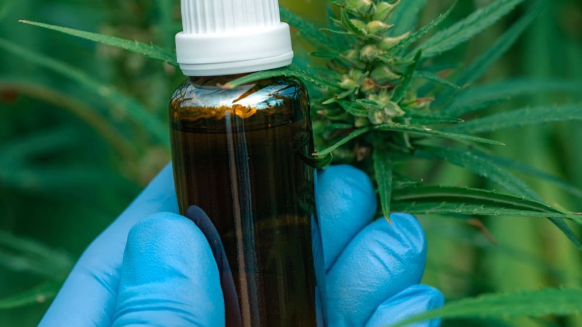 TJMG confirma fornecimento de canabidiol para criança com autismo em Vespasiano