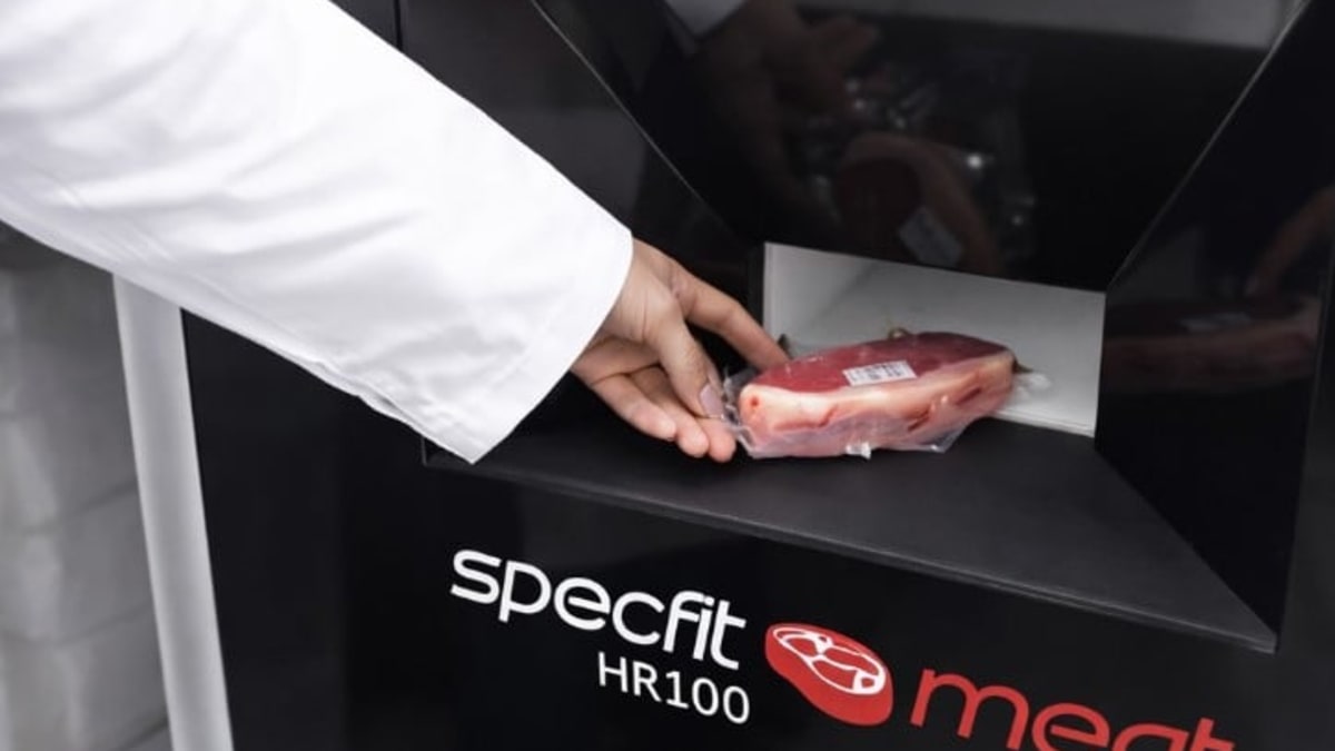 Novo equipamento mede a maciez de carnes em 12 segundos sem destruição de amostras