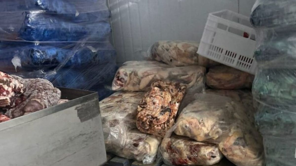 Frigorífico é fechado após fiscalização encontrar carne adulterada em SC