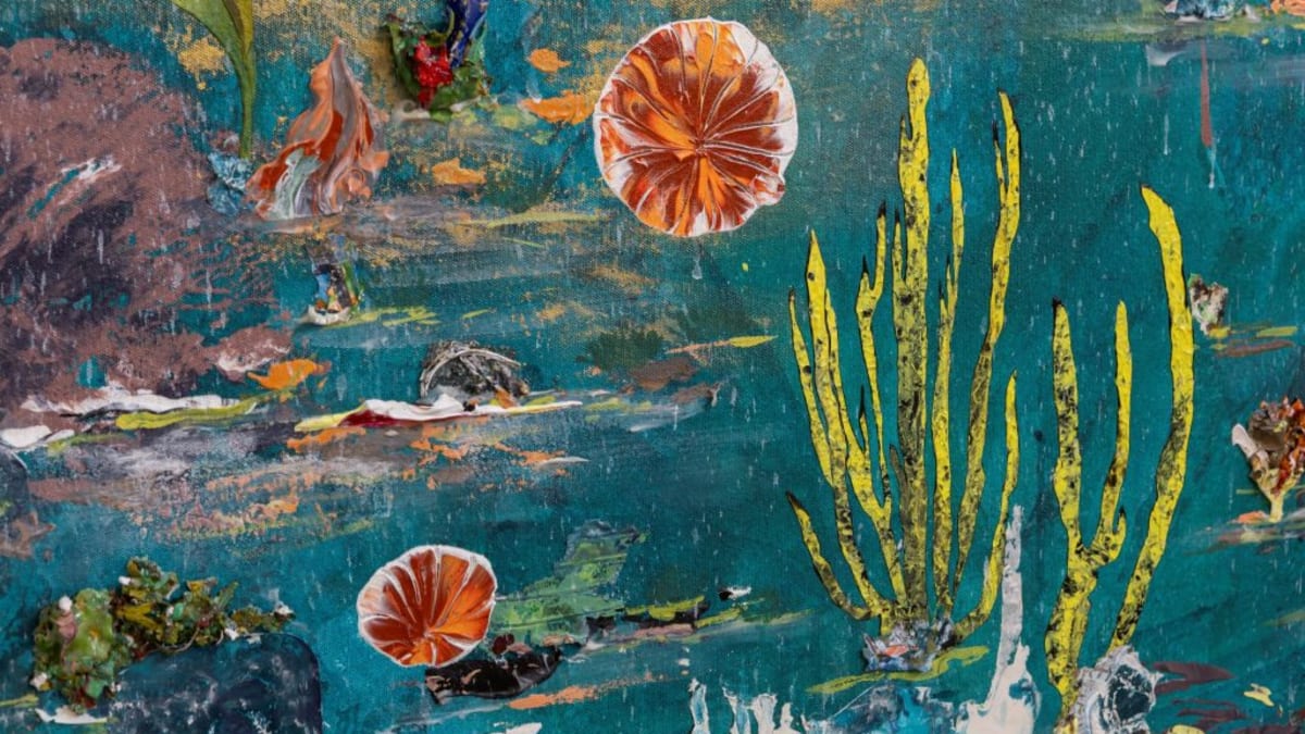 Últimos dias para visitar quatro exposições no Centro Cultural Veras, em Florianópolis