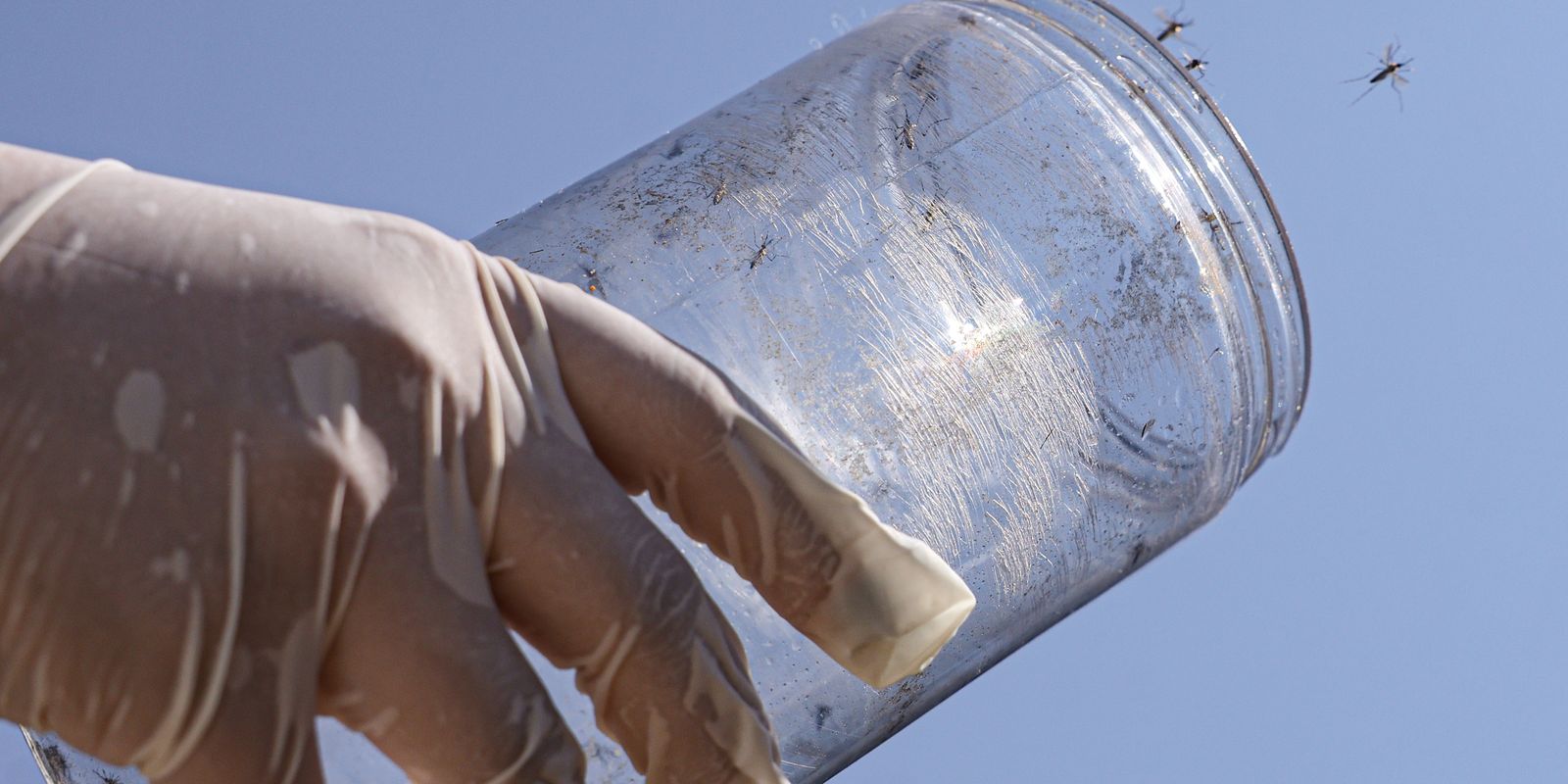 Reforço no combate à chikungunya na reserva indígena de Dourados