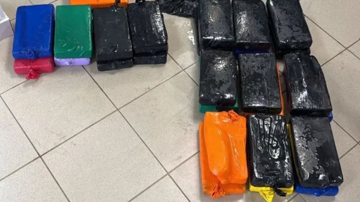 Cocaína escondida em navio com destino à Ásia é apreendida em SC