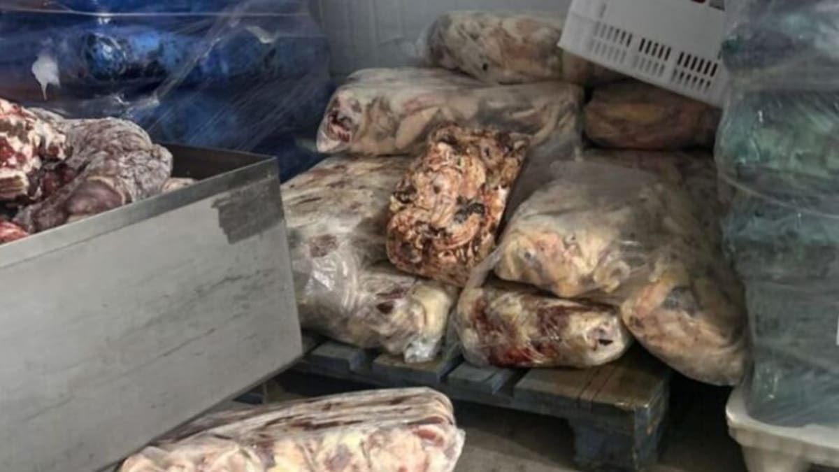 Frigorífico é interditado e depósito lacrado em operação contra fraude em carnes em Santa Catarina