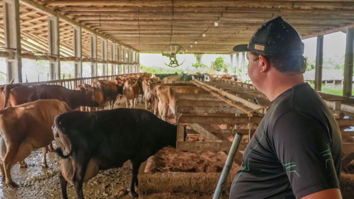 Pronampe Leite movimenta R$ 84 milhões em Santa Catarina no primeiro mês