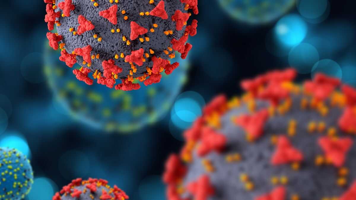 Nova variante 'Cicada' da Covid-19 é detectada em 23 países, mas sem risco de pânico