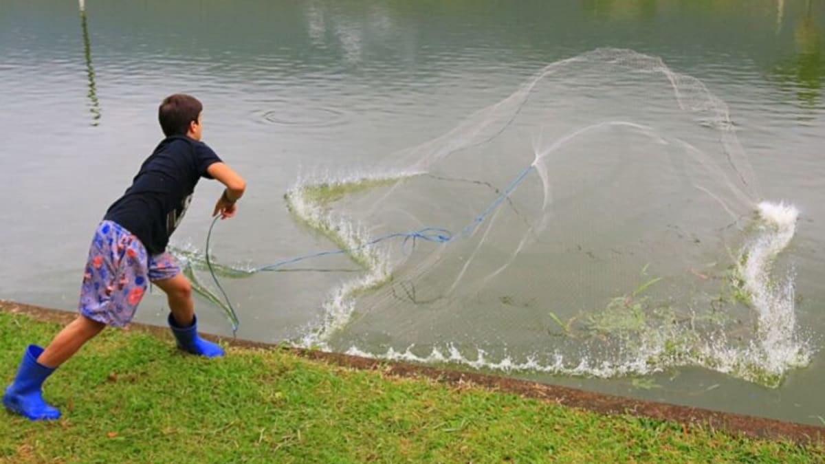 Projeto Piscicultura Ativa é apresentado em Florianópolis para impulsionar produção em Jaraguá do Sul