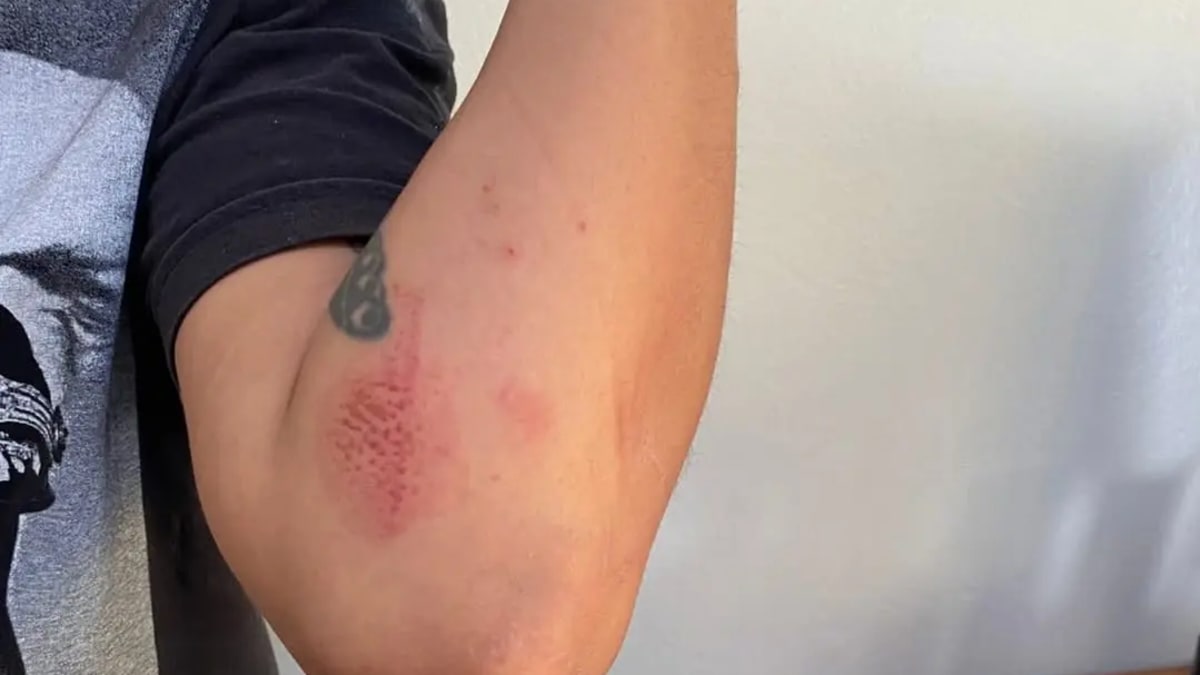 Suspeito é preso por violência doméstica, cárcere privado e tráfico de drogas em Caçu