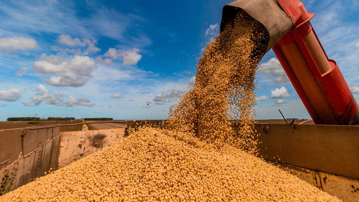 Evento reúne especialistas para discutir avanço do cultivo de grãos em Roraima
