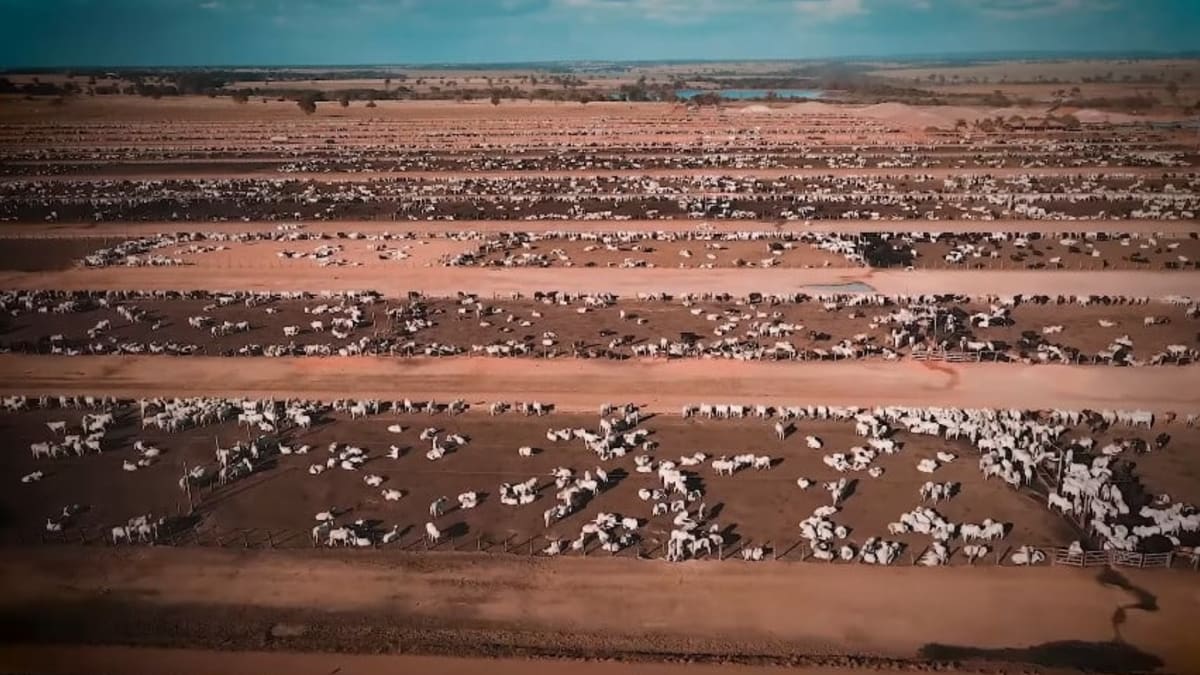 Fazenda Conforto e JBJ confirmam negociação, mas venda ainda não concluída