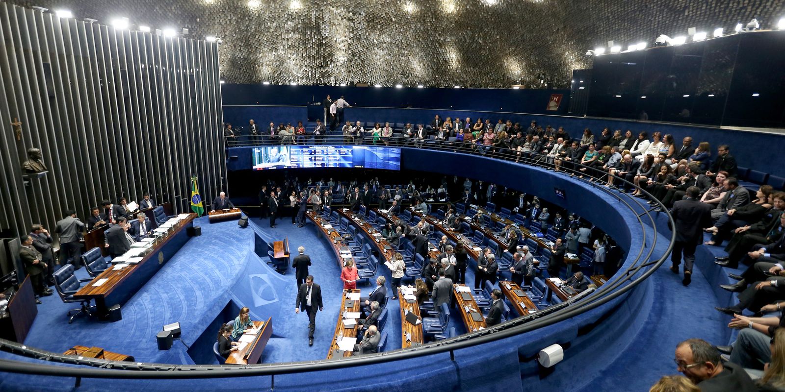 Senado reconhece estágio como experiência profissional