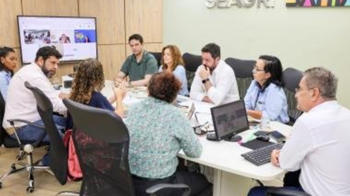 Busca por Indicação Geográfica da pluma de algodão branco do Oeste da Bahia avança