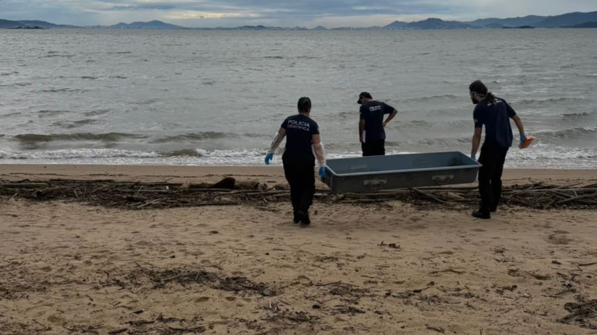 Corpo de mulher é encontrado em decomposição com sinais de violência na Grande Florianópolis