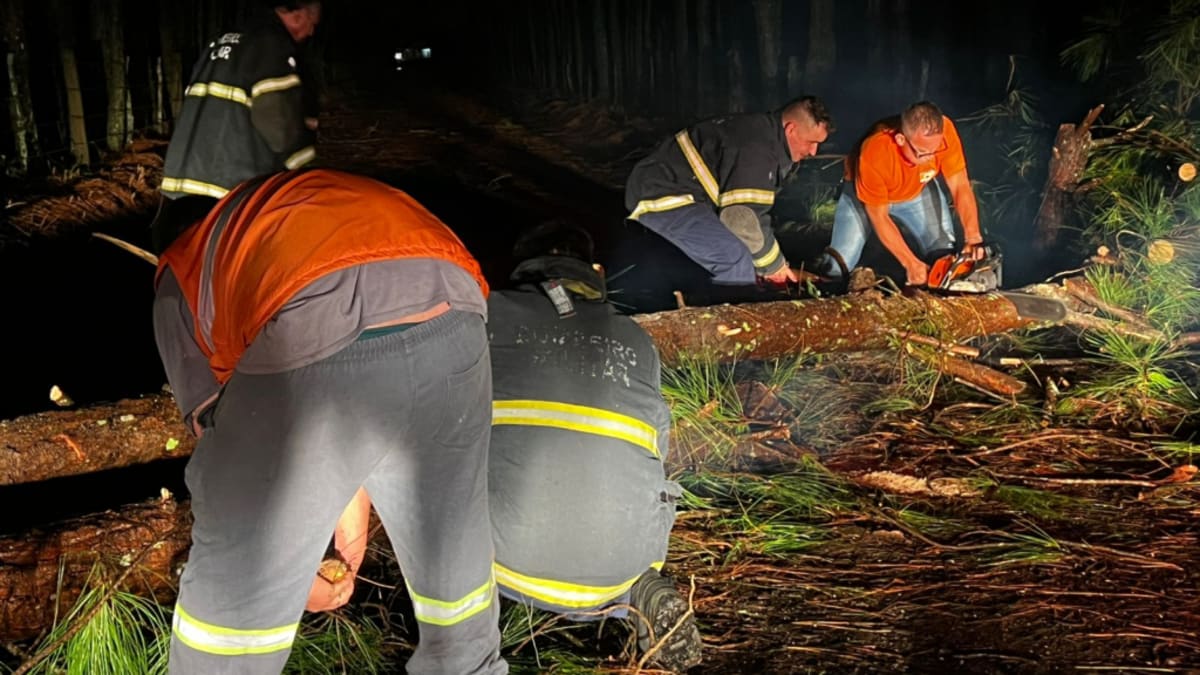 Chuva e ventos fortes derrubam cinco árvores em Sombrio