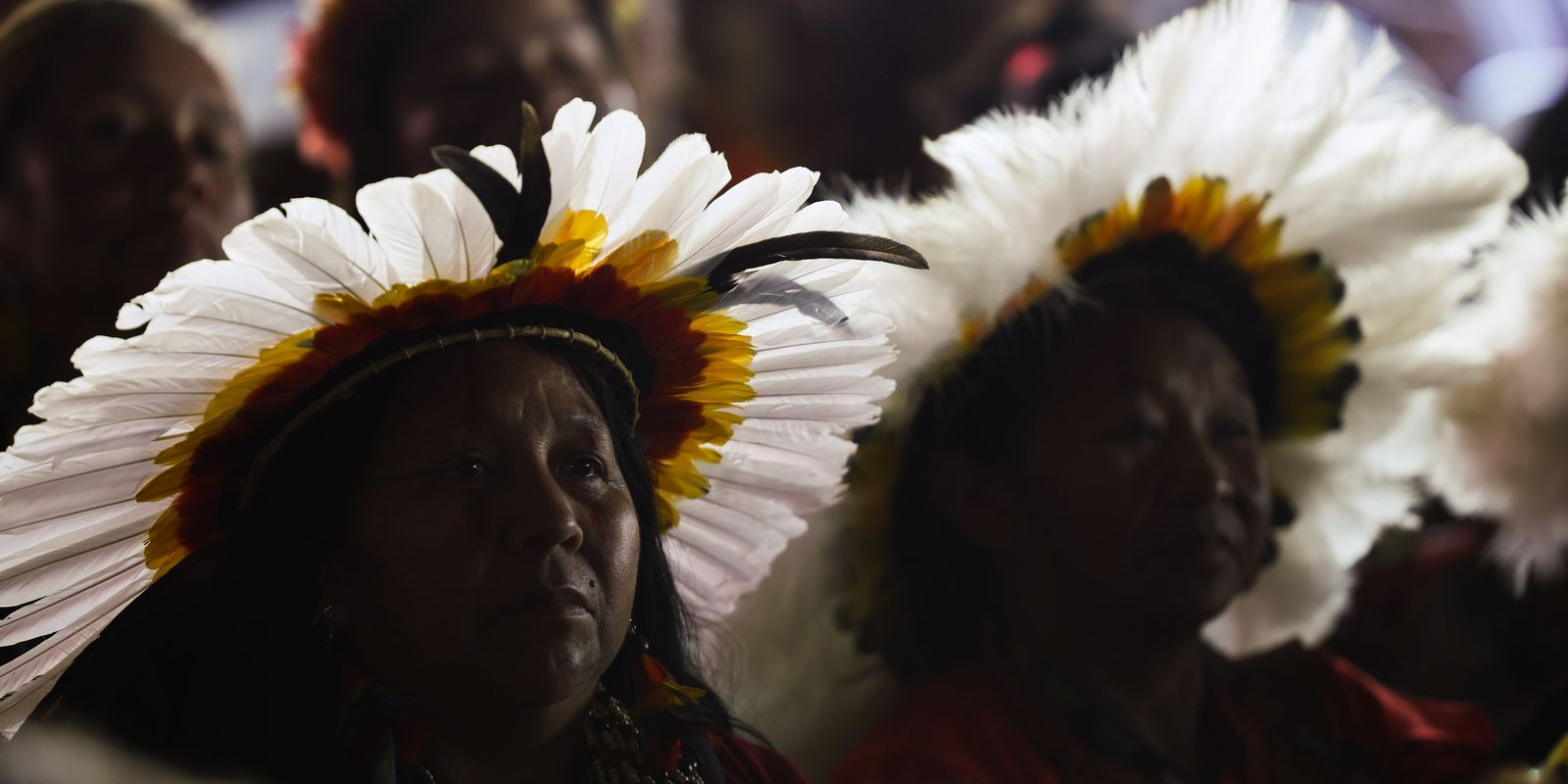 Prêmio Fundo Amazônia apoia comunidades tradicionais na proteção da floresta
