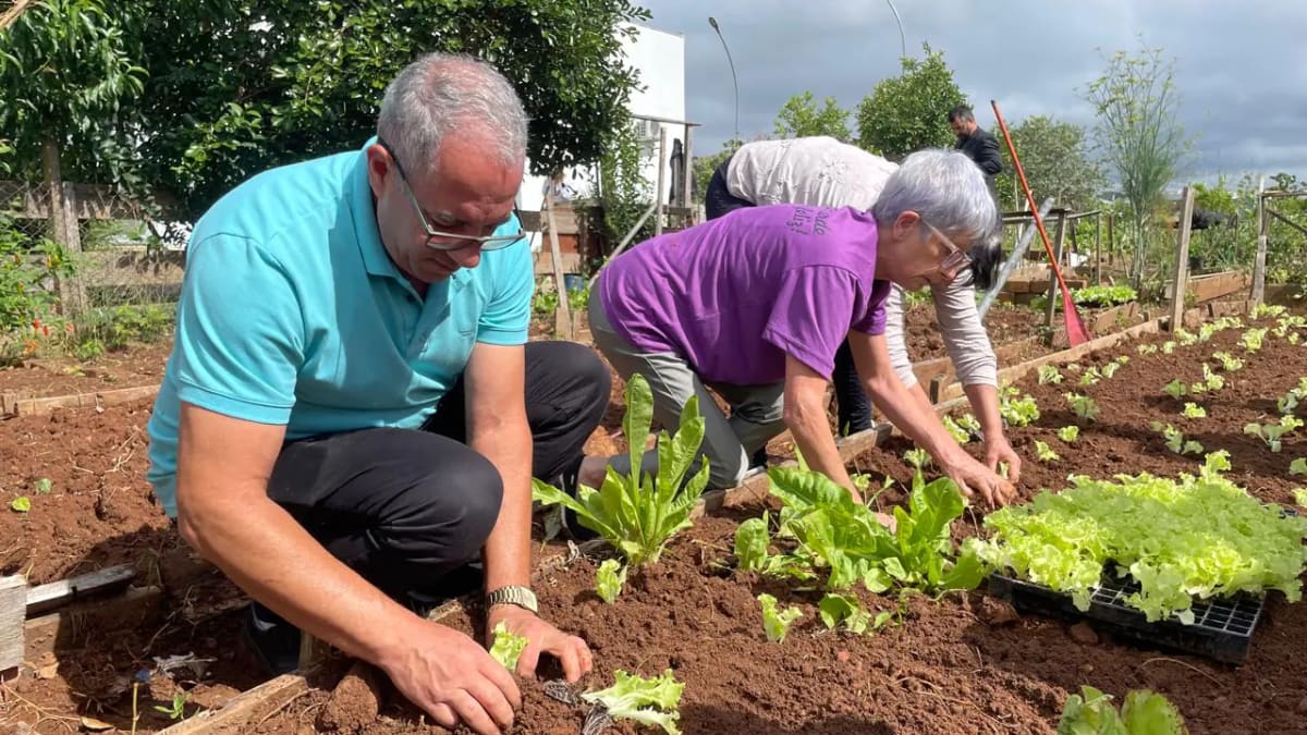 Horta Comunitária da Praça CEU, em Bento Gonçalves, é finalista de prêmio nacional