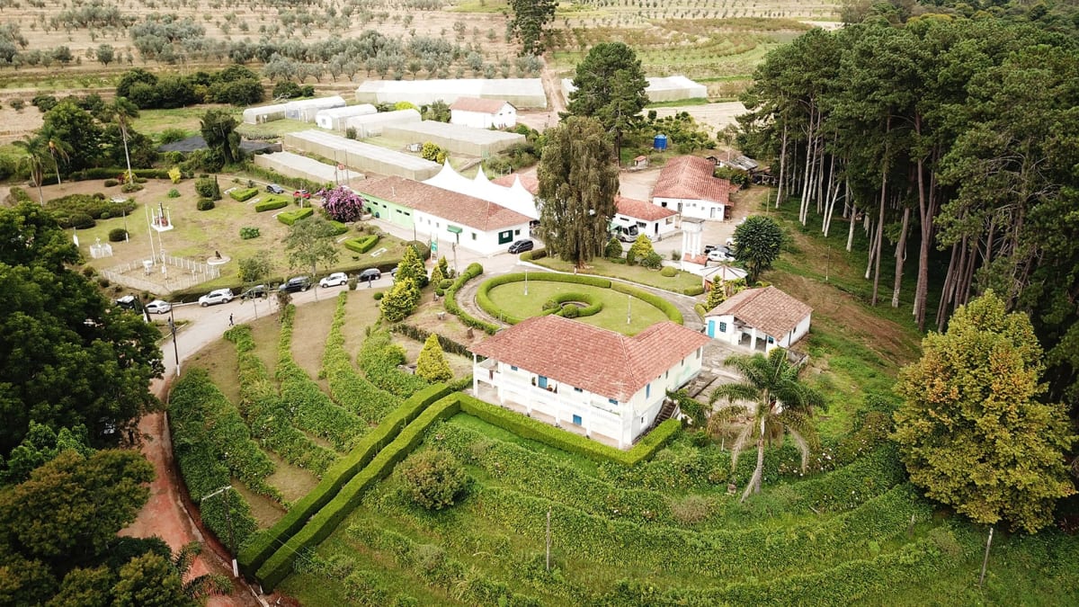Azeitech reúne 21º Dia de Campo e 11ª Mostra Tecnológica de Olivicultura em Minas Gerais
