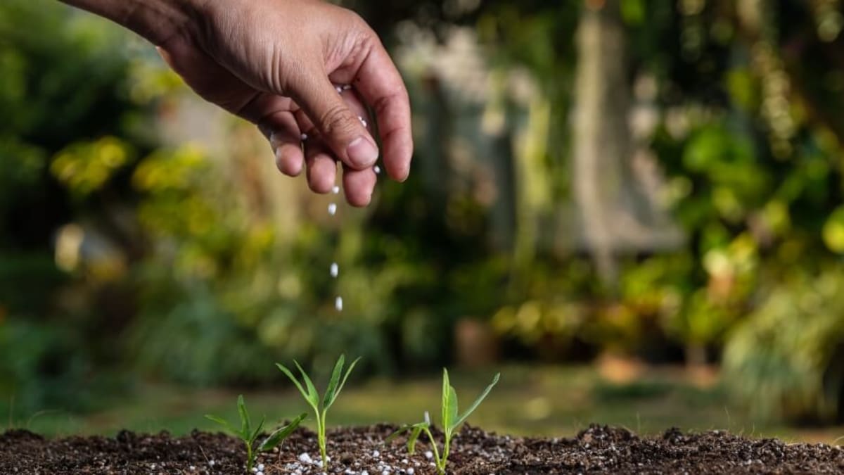 Fechamento do Terminal Itapuã pode causar crise no abastecimento de fertilizantes na Bahia