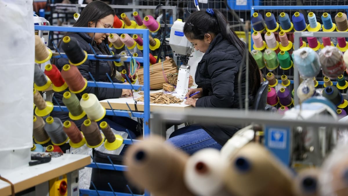 Sine registra mais de nove mil vagas de emprego abertas em Santa Catarina