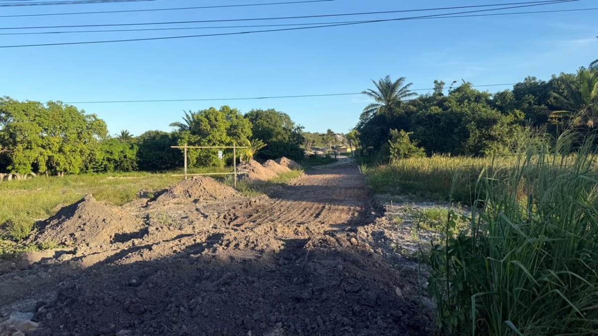 Denúncia de crime ambiental envolve divisão de terreno em Camaçari