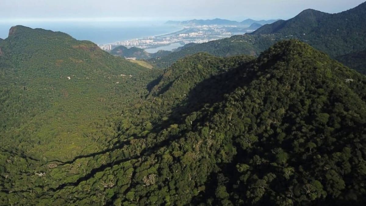 Flexibilização da proteção ambiental no litoral do Rio de Janeiro reacende debate sobre desenvolvimento e sustentabilidade