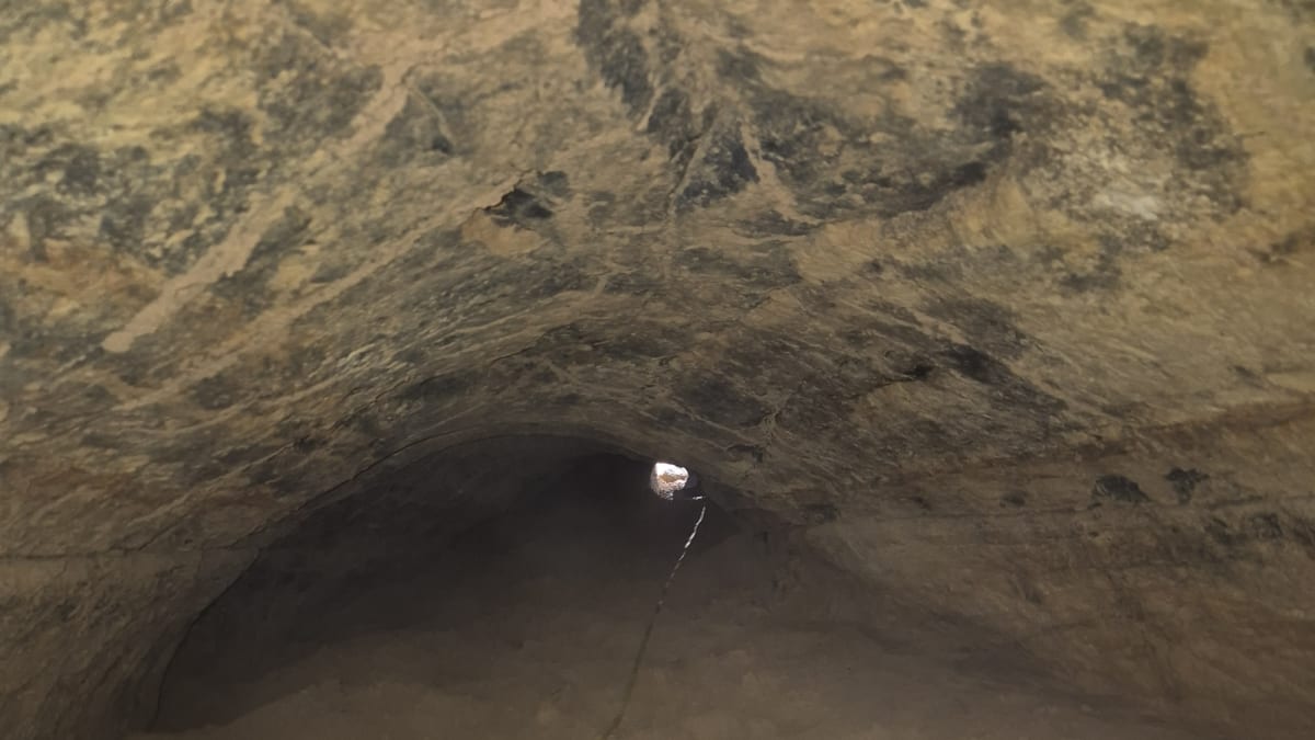 Túnel de tatu gigante pré-histórico é descoberto no Sul de Santa Catarina