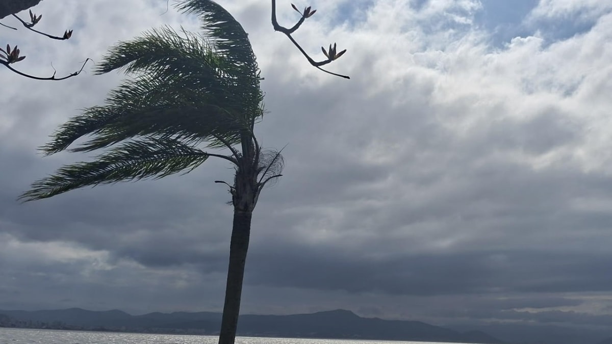 Frente fria se afasta de Santa Catarina e temperaturas caem com ventos fortes até quinta-feira