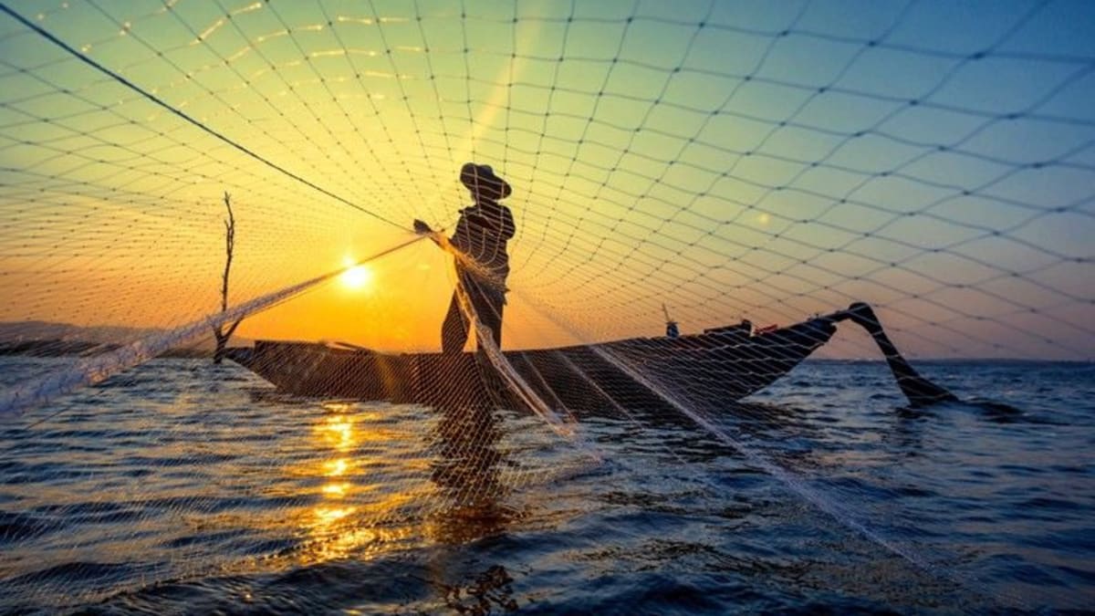 Câmara mantém pagamentos retroativos do seguro-defeso e derruba mudanças do Senado