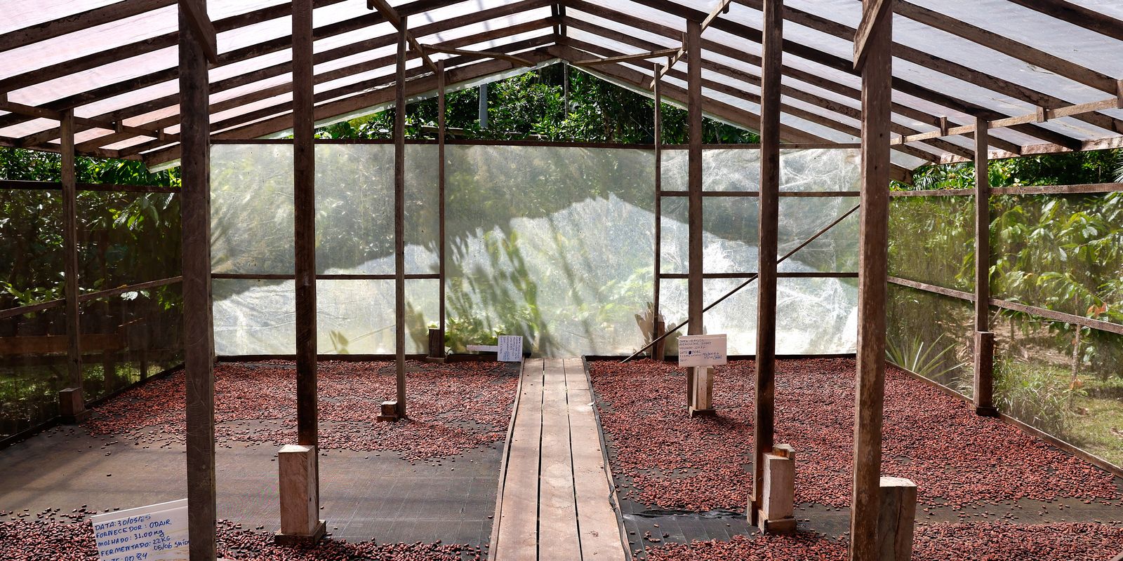 Inscrições abertas para edital de inovação na Amazônia