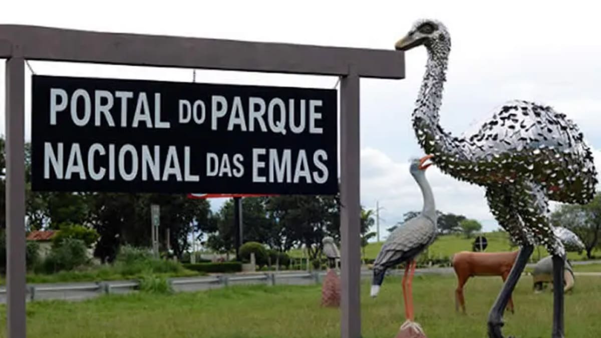 Governo de Goiás ativa 33 pontos de Wi-Fi público em áreas turísticas e urbanas