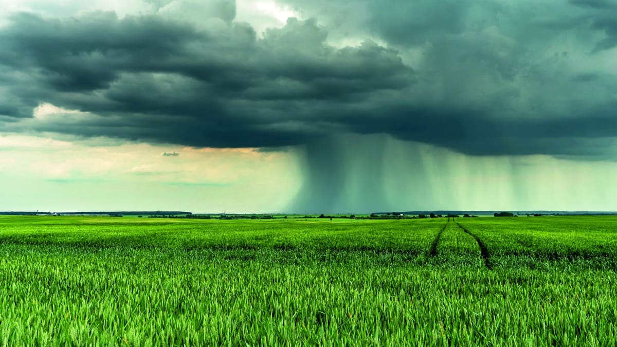 Seguro rural deve registrar queda de 3,9% em 2026, aponta CNseg