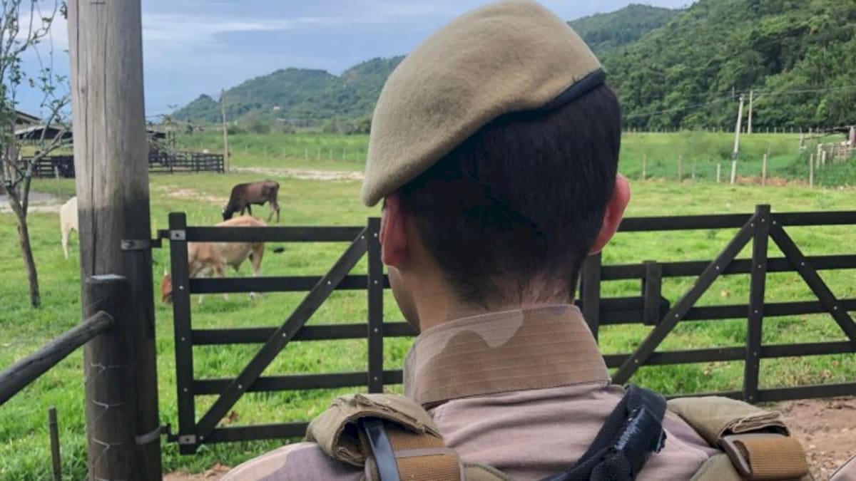 Santa Catarina registra zero ocorrências de farra do boi durante Operação Quaresma