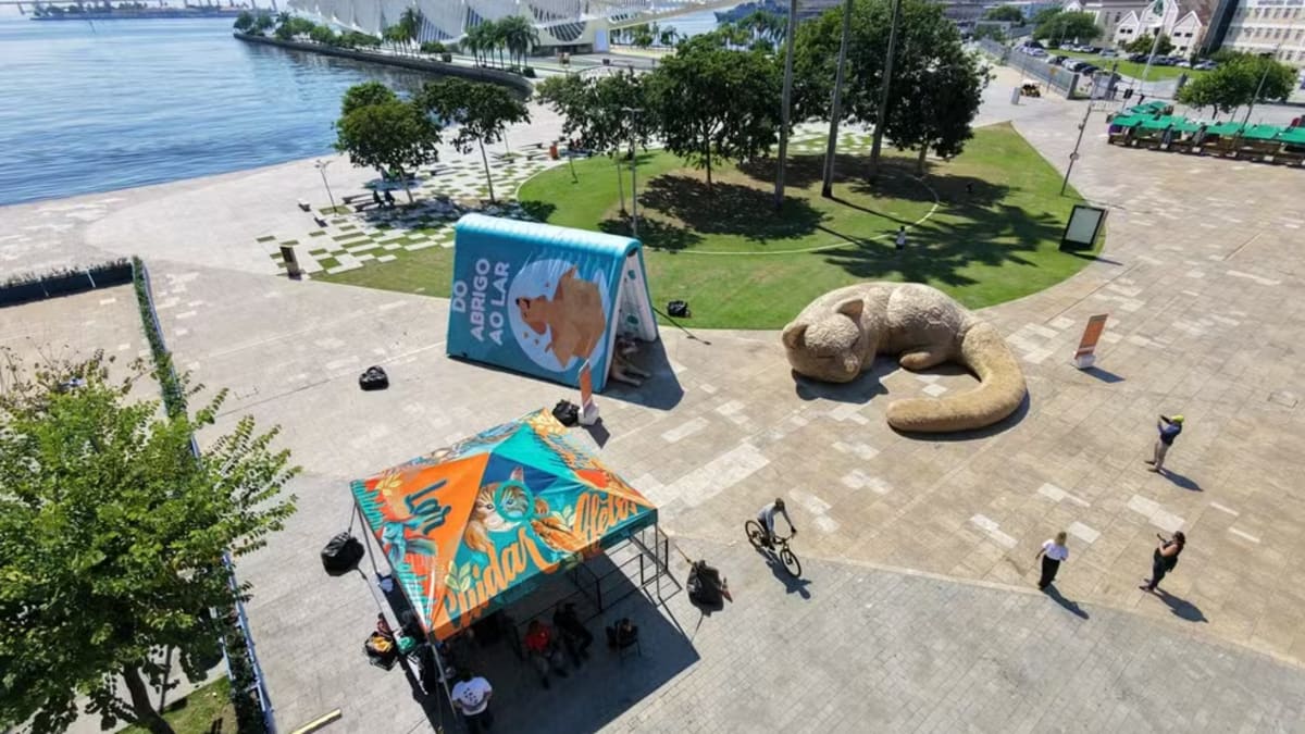 Praça Mauá recebe intervenções artísticas para incentivar adoção de pets