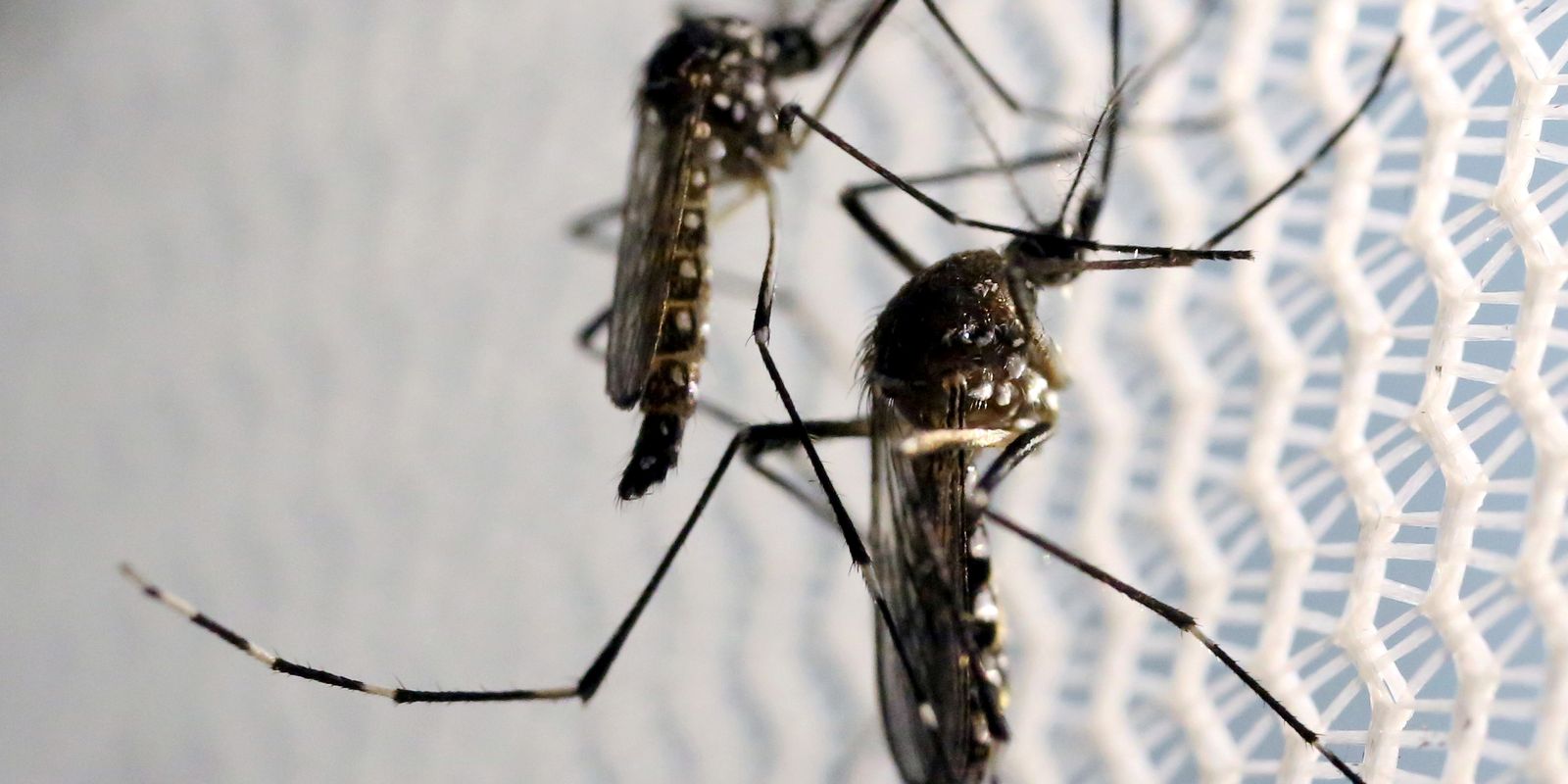 Ministério da Saúde libera R$ 28 milhões para combater chikungunya em Dourados