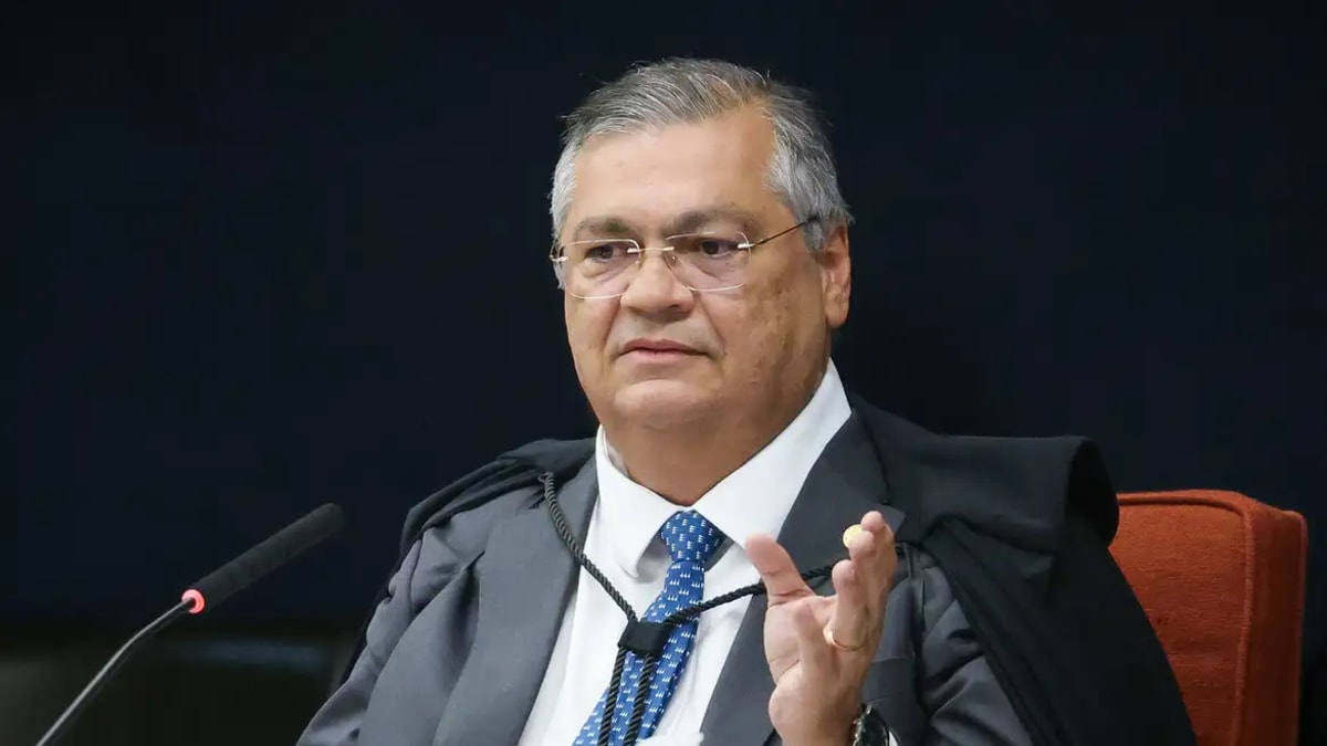 STF inicia julgamento para derrubar lei de SC que proibiu cotas raciais em universidades públicas