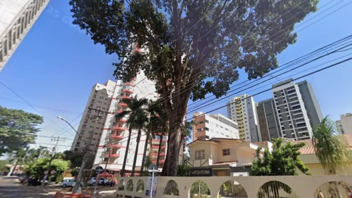 Prefeitura de Goiânia inicia substituição de árvores com risco no Setor Sul