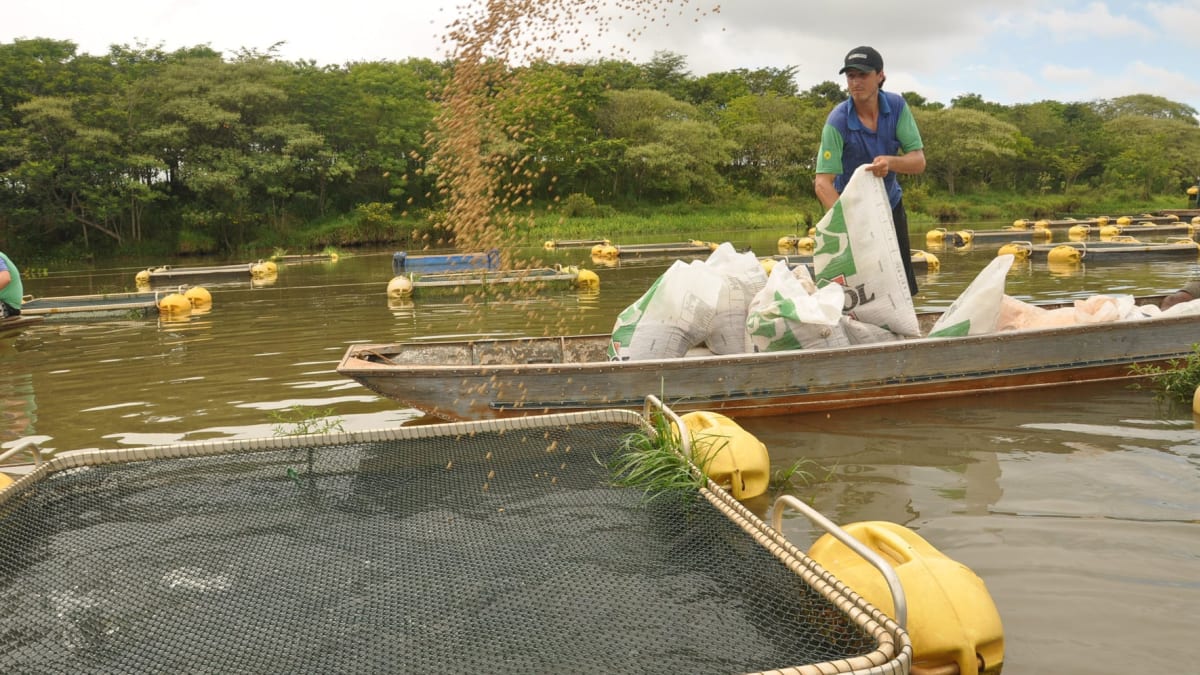 CNA solicita suspensão da exigência do Registro Geral da Atividade Pesqueira para aquicultores
