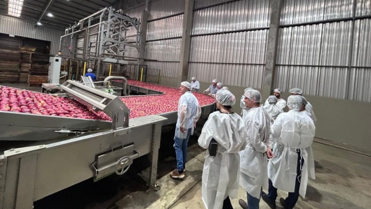 Vacaria recebe missão internacional para abertura do mercado cubano à maçã gaúcha