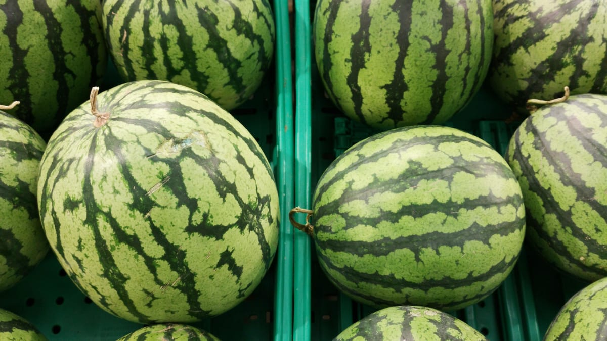 Brasil amplia exportação de frutas para Arábia Saudita, El Salvador e Azerbaijão