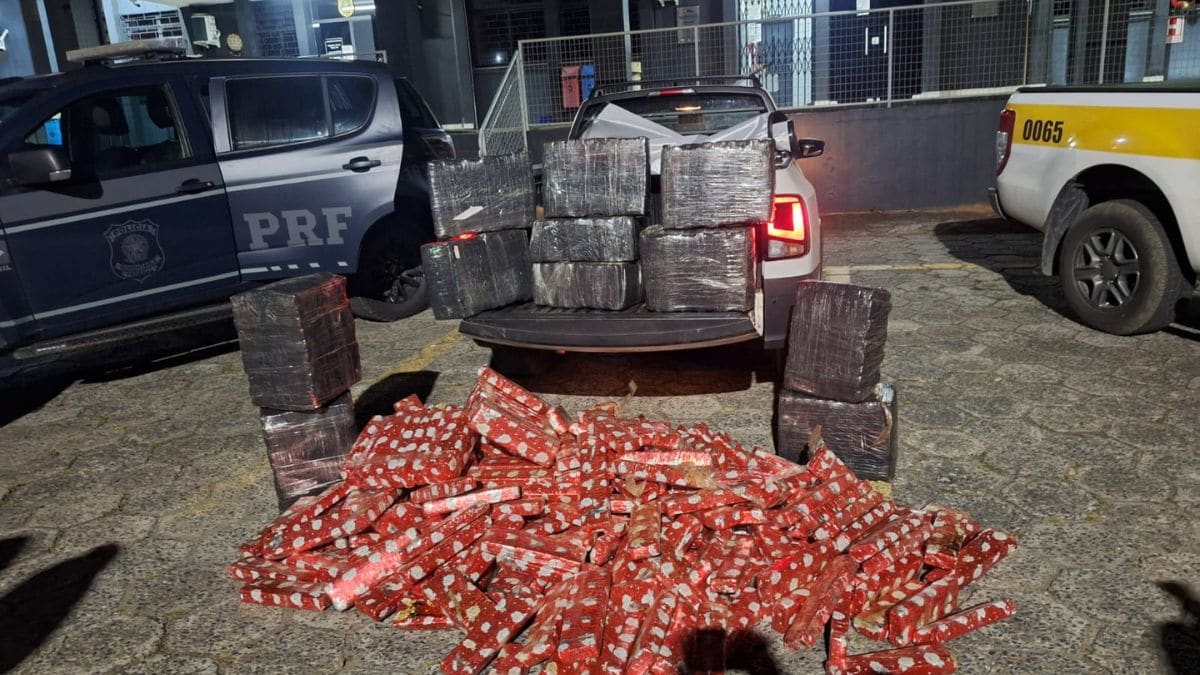 Mais de 350 kg de maconha são apreendidos em fiscalização na SC-110