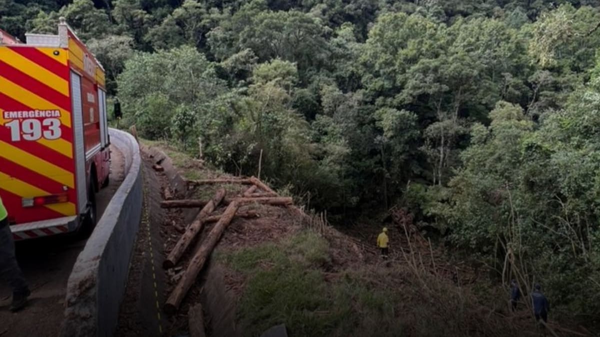 Motorista sobrevive após carreta cair em ribanceira de 50 metros na BR-116 em Santa Catarina