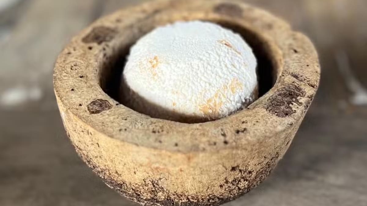 Queijo 'chèvre' do Capril do Lago conquista primeiro lugar no Mundial de Queijos em São Paulo