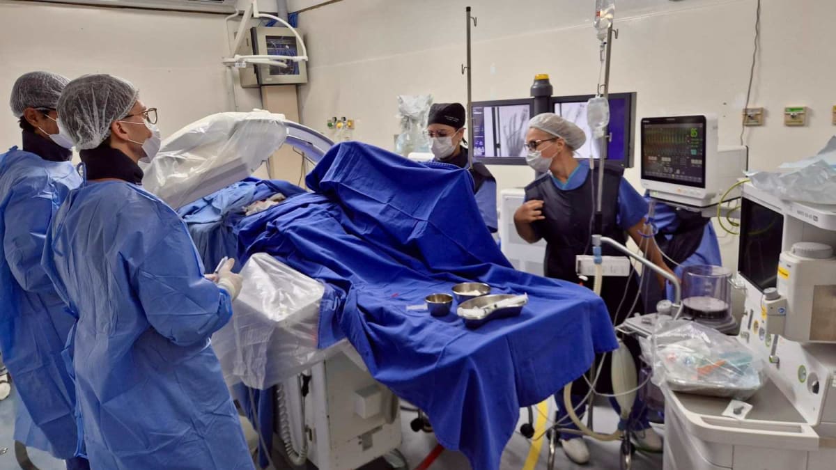 Instituto de Cardiologia de Santa Catarina completa 63 anos com expansão e avanços em tratamentos cardiovasculares