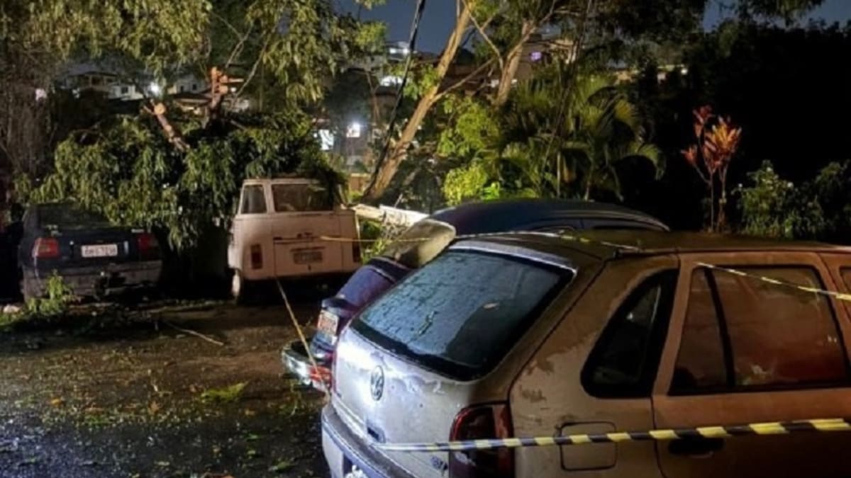 Queda de árvores derruba postes e atinge veículos em Belo Horizonte e Betim