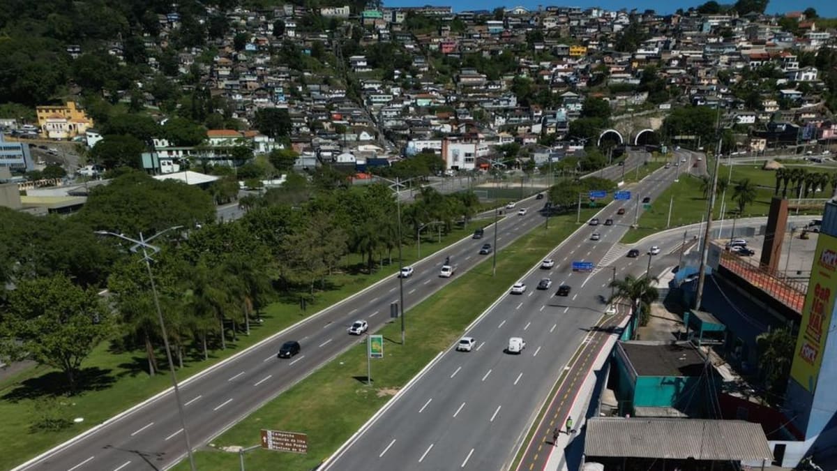 Florianópolis recebe fórum sobre arborização urbana com especialistas do Sul do Brasil