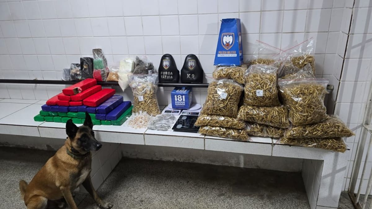 PM apreende mais de 30 kg de maconha e grande carga de drogas na Serra