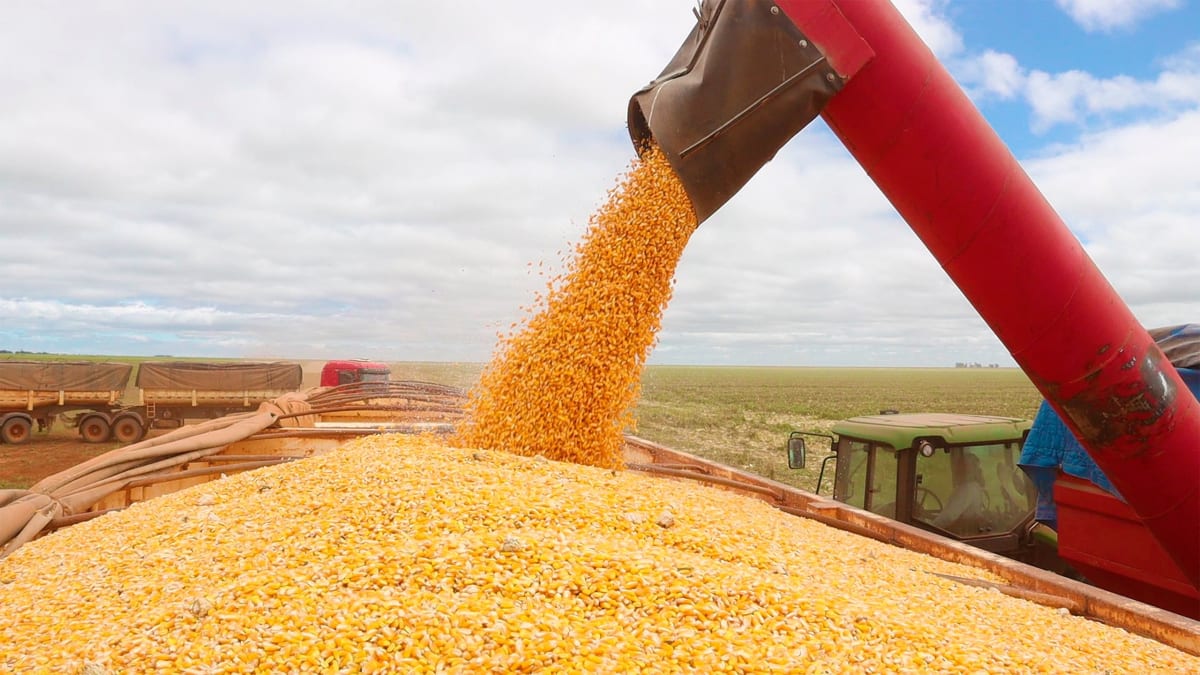 Redução das chuvas em abril eleva risco de perda para culturas de segunda safra, diz Inmet