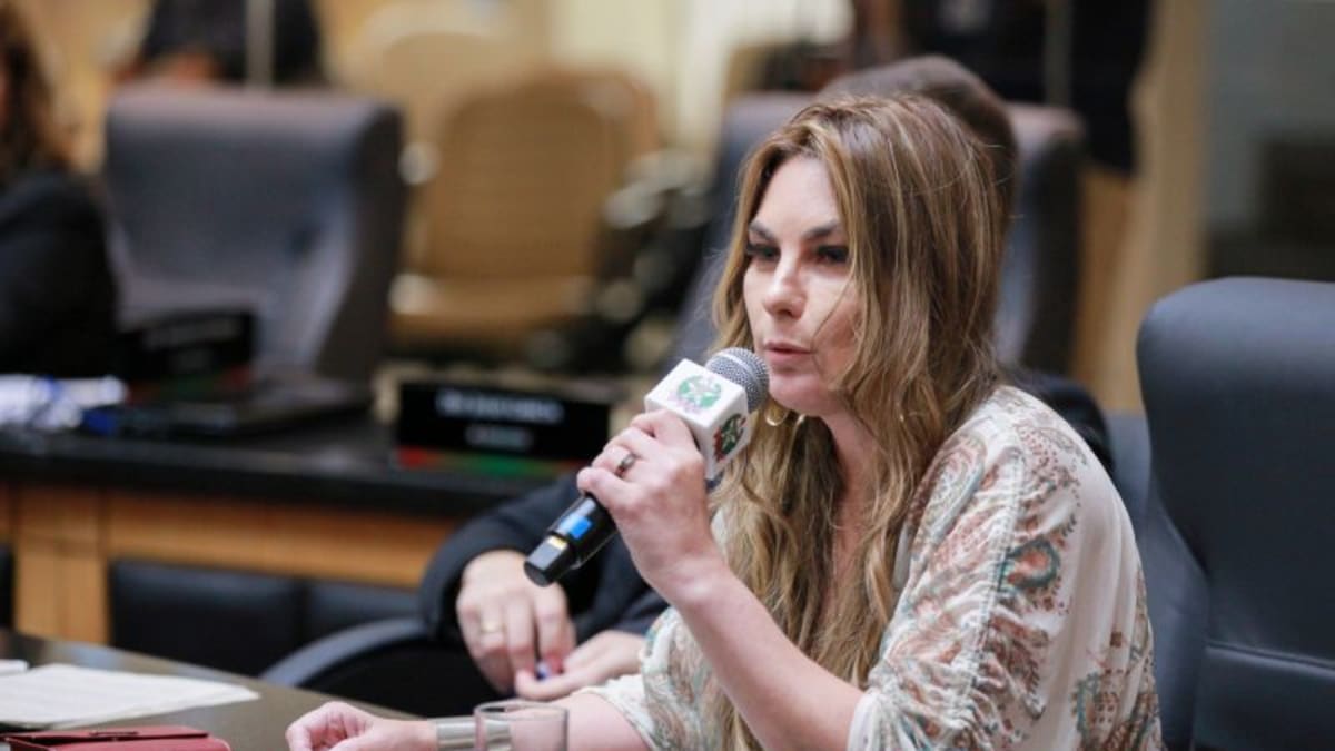 Deputada Paulinha cobra mudanças após sequência de feminicídios em Santa Catarina