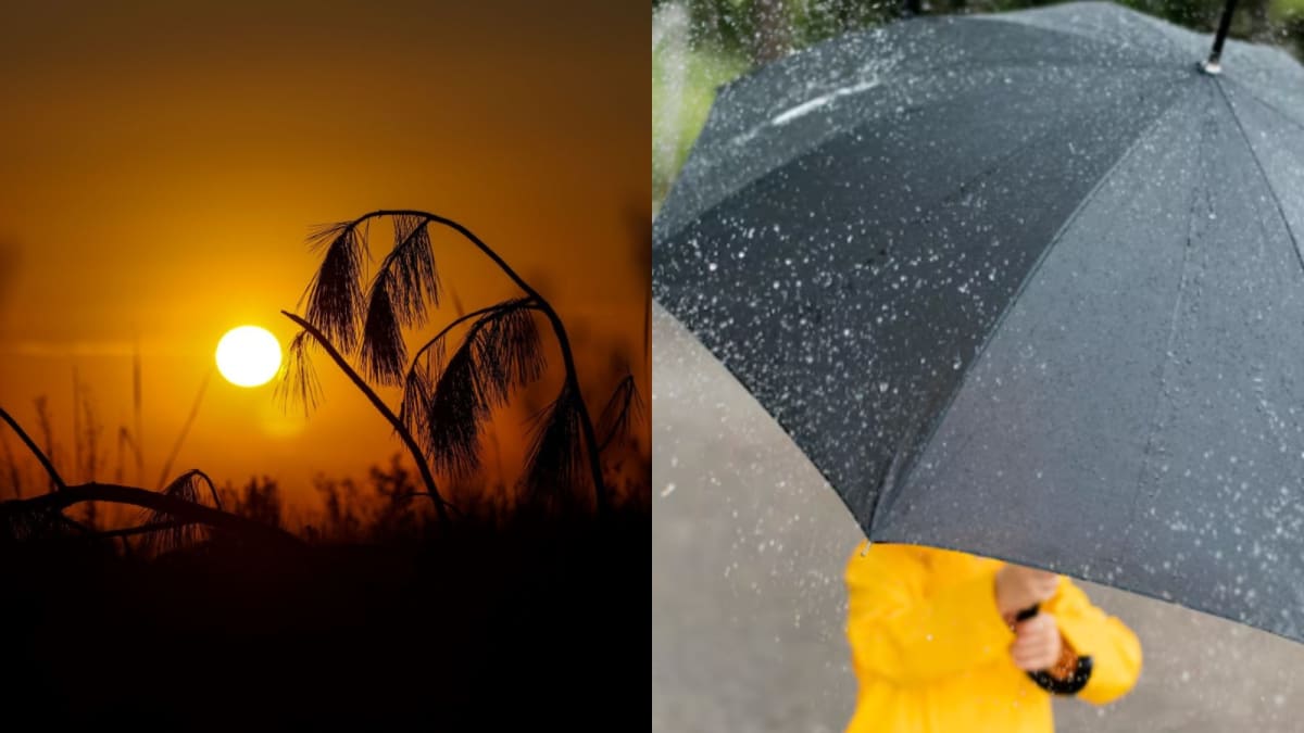 Semana começa com sol e calor, mas frente fria traz chuva no fim de semana em Santa Catarina