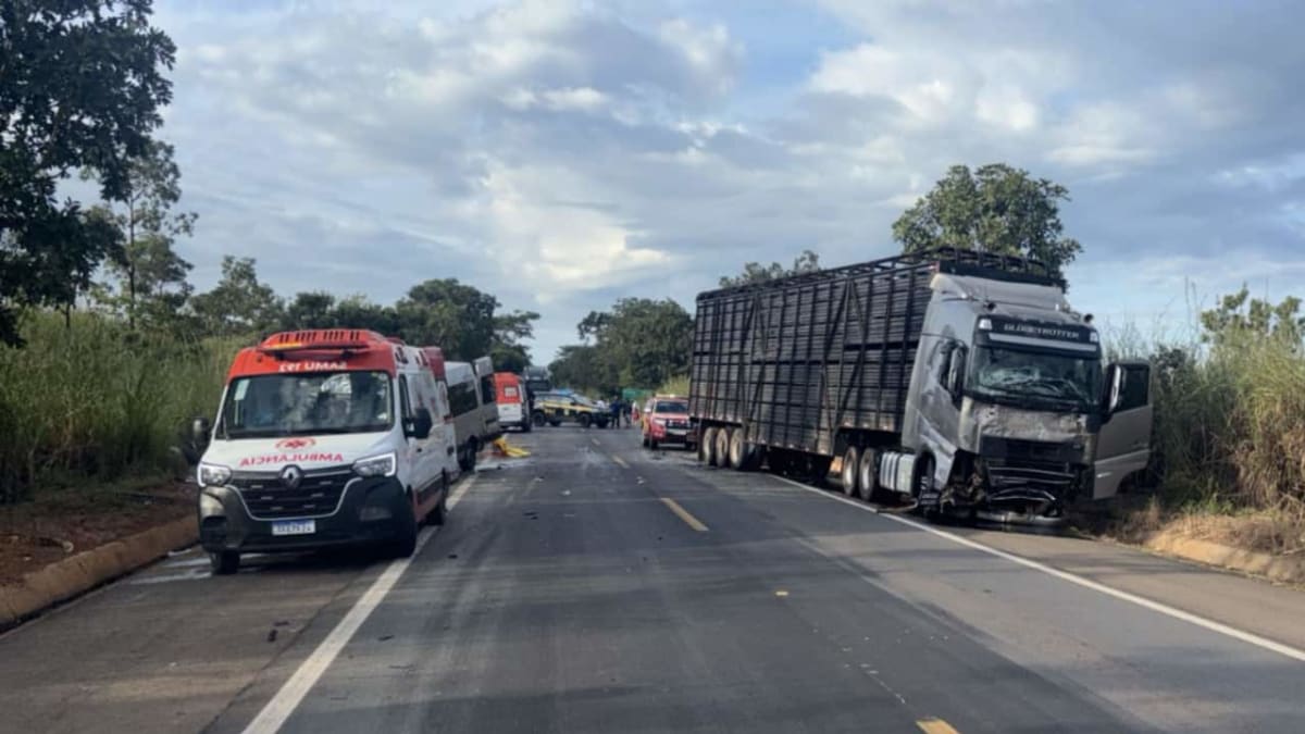 Acidente entre van, caminhonete e caminhão deixa oito mortos na BR-020, em Goiás